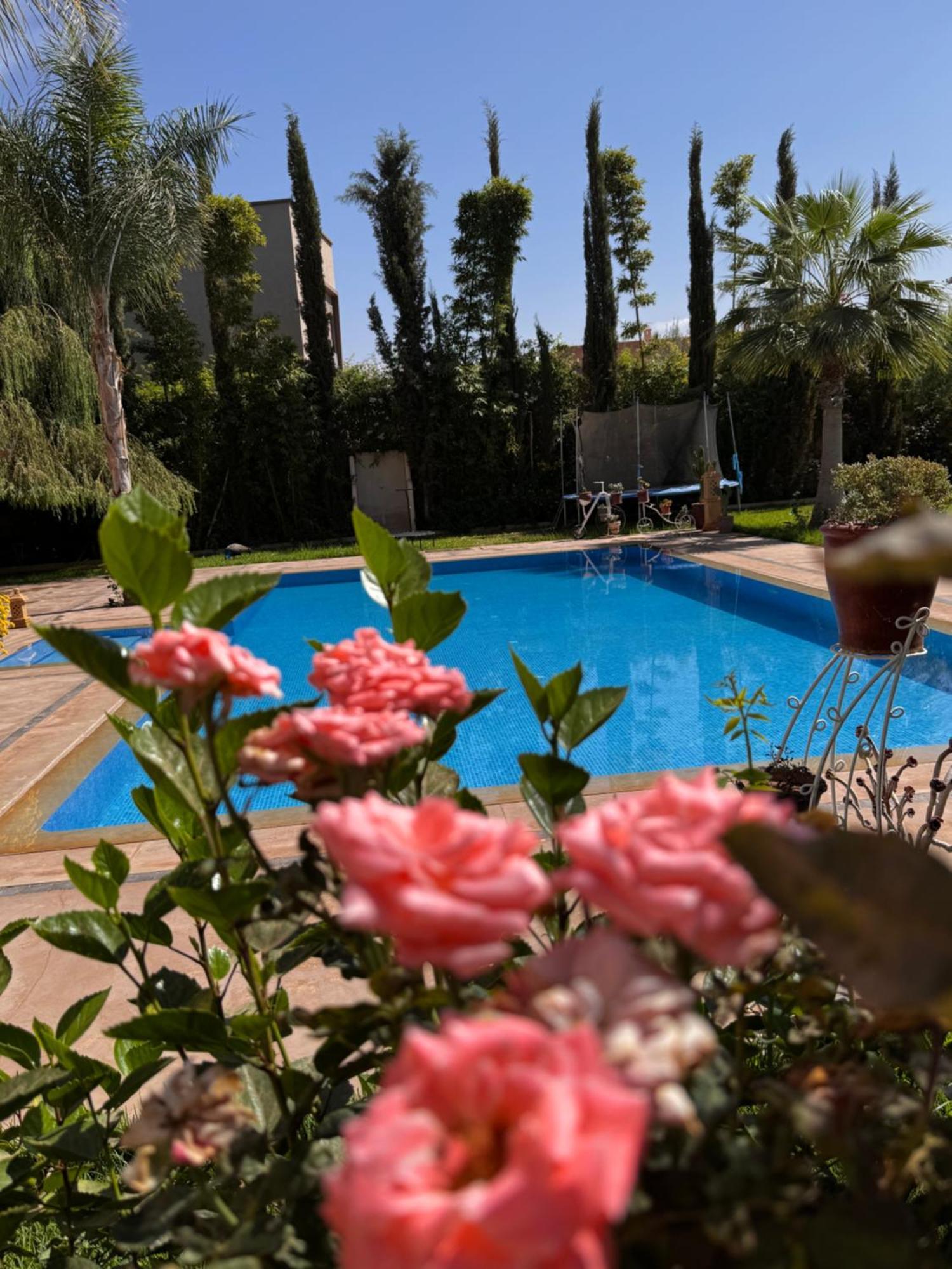 Les Jardins D'ailleurs Marrakesch